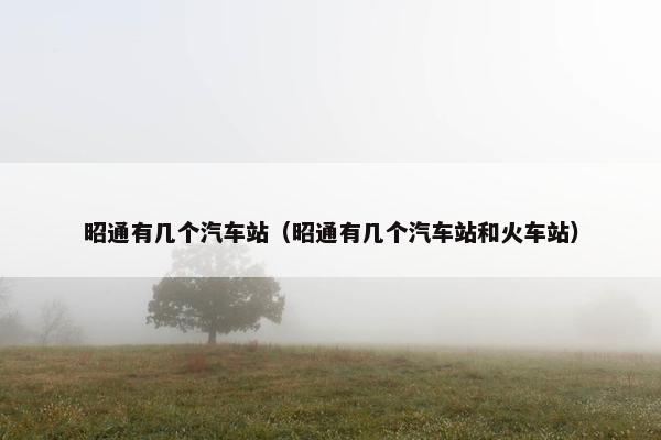 昭通有几个汽车站（昭通有几个汽车站和火车站）
