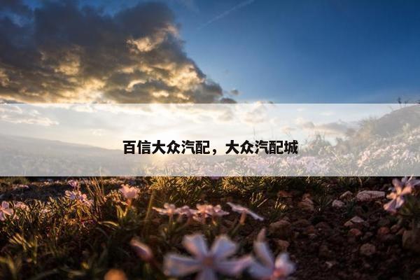 百信大众汽配，大众汽配城