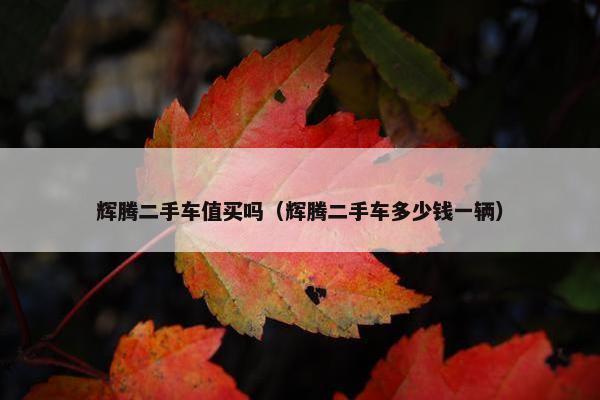 辉腾二手车值买吗（辉腾二手车多少钱一辆）
