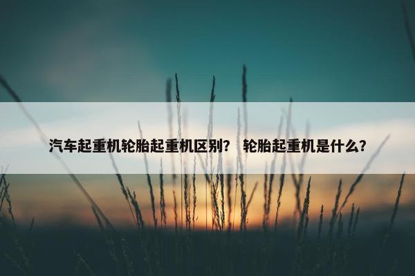 汽车起重机轮胎起重机区别？ 轮胎起重机是什么？
