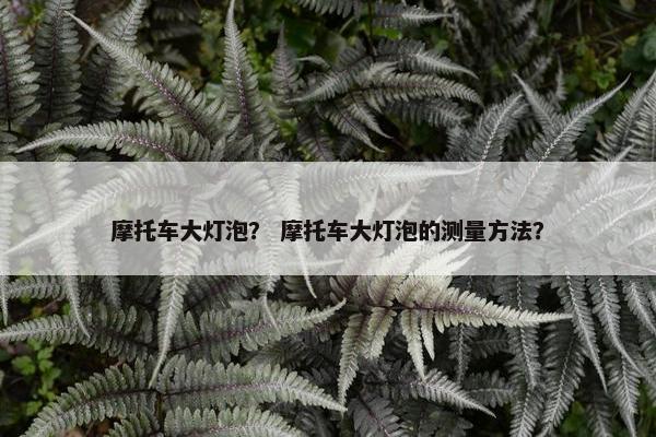 摩托车大灯泡？ 摩托车大灯泡的测量方法？