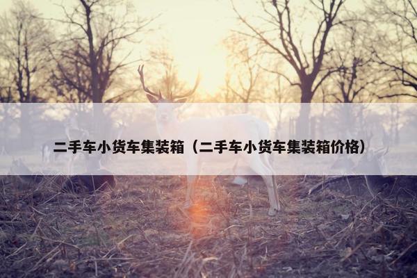 二手车小货车集装箱（二手车小货车集装箱价格）