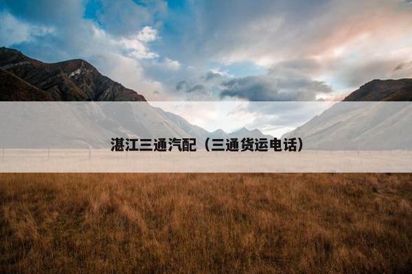 湛江三通汽配（三通货运电话）