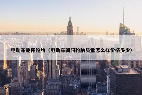 电动车朝阳轮胎（电动车朝阳轮胎质量怎么样价格多少）