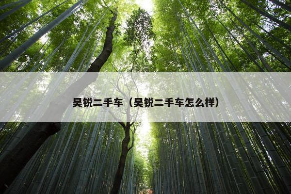 昊锐二手车（昊锐二手车怎么样）