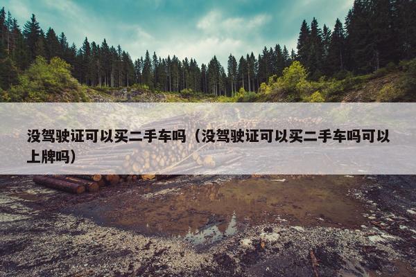 没驾驶证可以买二手车吗（没驾驶证可以买二手车吗可以上牌吗）