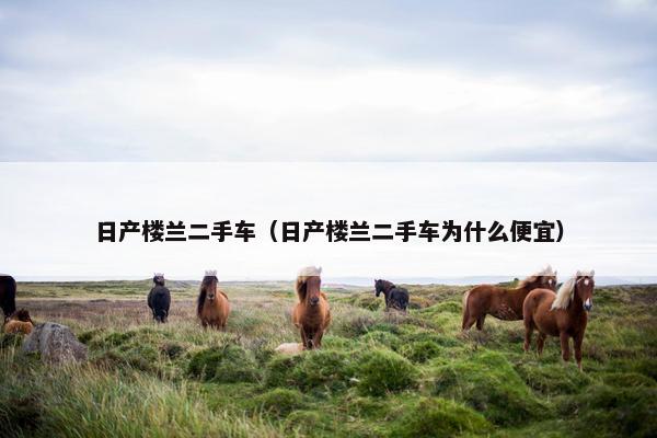 日产楼兰二手车（日产楼兰二手车为什么便宜）