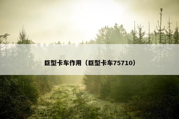 巨型卡车作用（巨型卡车75710）