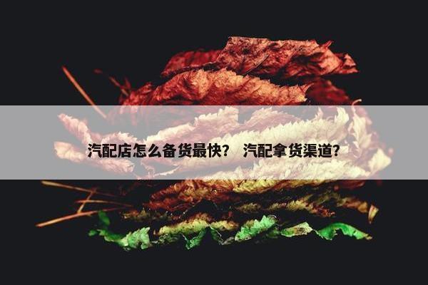 汽配店怎么备货最快？ 汽配拿货渠道？