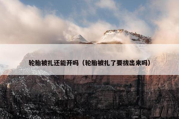 轮胎被扎还能开吗（轮胎被扎了要拔出来吗）