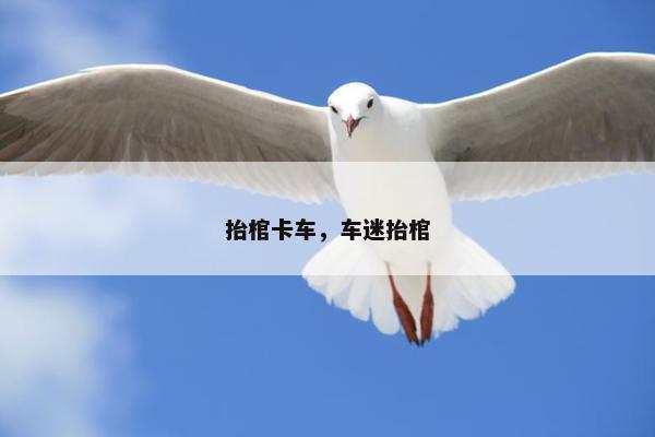 抬棺卡车，车迷抬棺