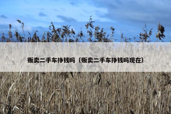 贩卖二手车挣钱吗（贩卖二手车挣钱吗现在）