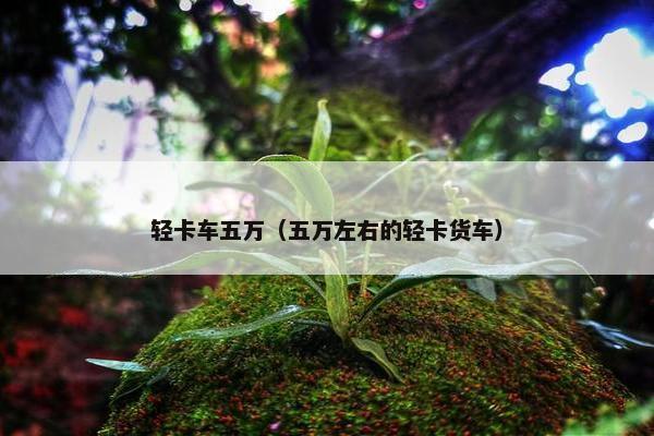 轻卡车五万（五万左右的轻卡货车）