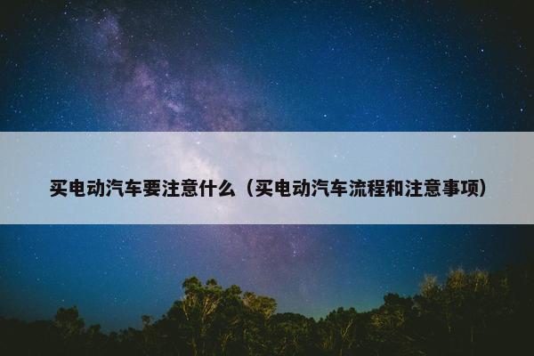 买电动汽车要注意什么（买电动汽车流程和注意事项）
