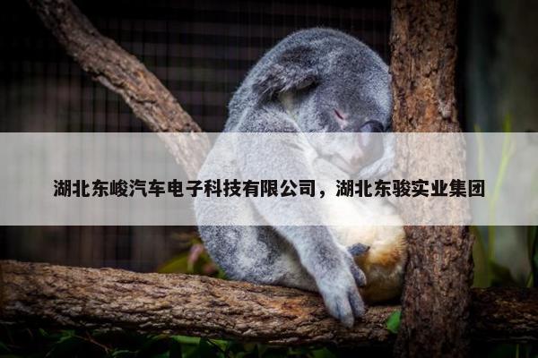 湖北东峻汽车电子科技有限公司，湖北东骏实业集团