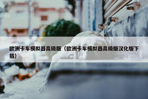 欧洲卡车模拟器高级版（欧洲卡车模拟器高级版汉化版下载）