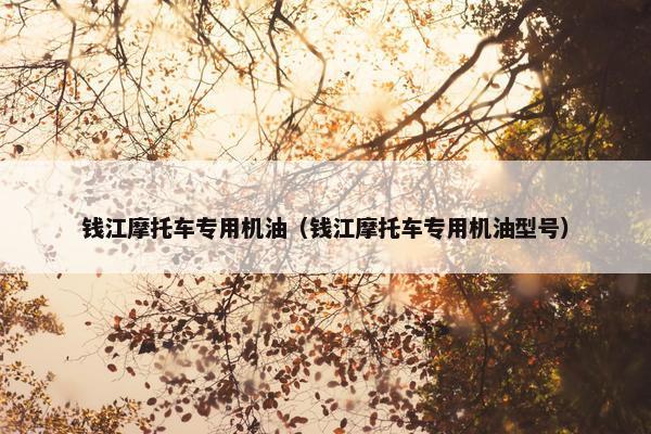 钱江摩托车专用机油（钱江摩托车专用机油型号）