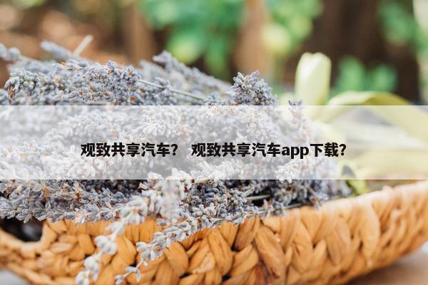 观致共享汽车？ 观致共享汽车app下载？