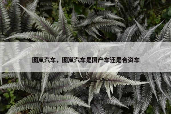 图岚汽车，图岚汽车是国产车还是合资车