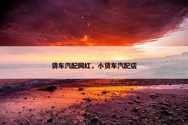 货车汽配网红，小货车汽配店