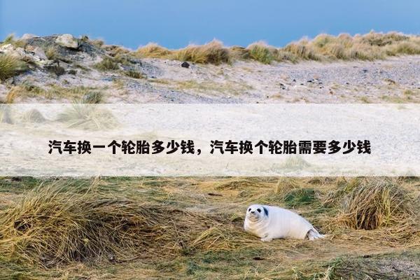 汽车换一个轮胎多少钱，汽车换个轮胎需要多少钱