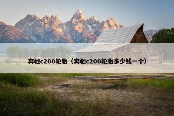 奔驰c200轮胎（奔驰c200轮胎多少钱一个）