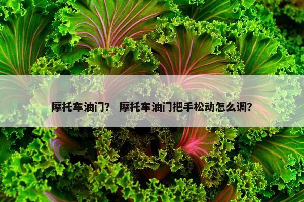 摩托车油门？ 摩托车油门把手松动怎么调？