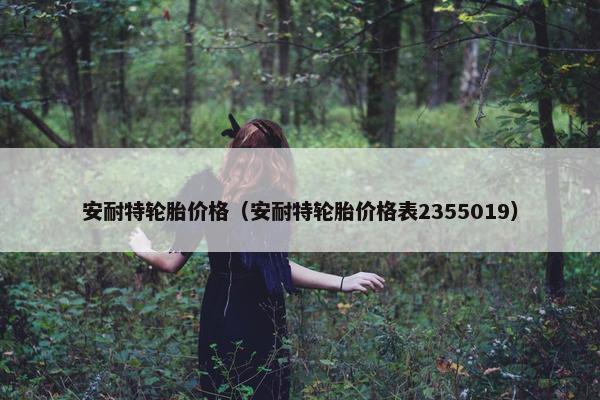 安耐特轮胎价格（安耐特轮胎价格表2355019）