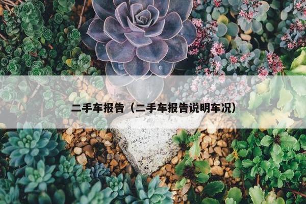 二手车报告（二手车报告说明车况）