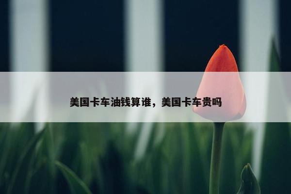 美国卡车油钱算谁，美国卡车贵吗