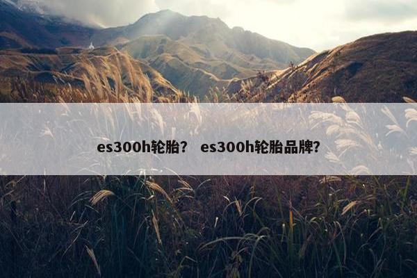 es300h轮胎？ es300h轮胎品牌？