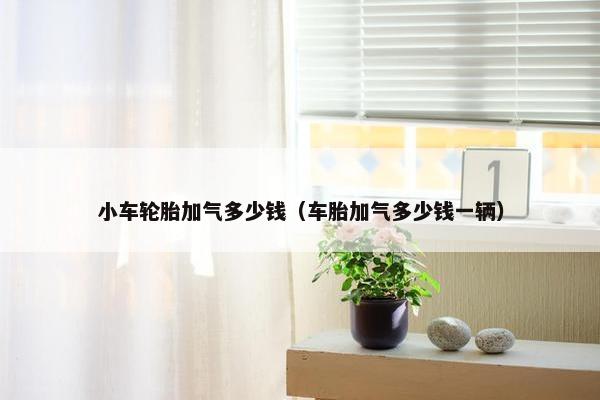 小车轮胎加气多少钱（车胎加气多少钱一辆）