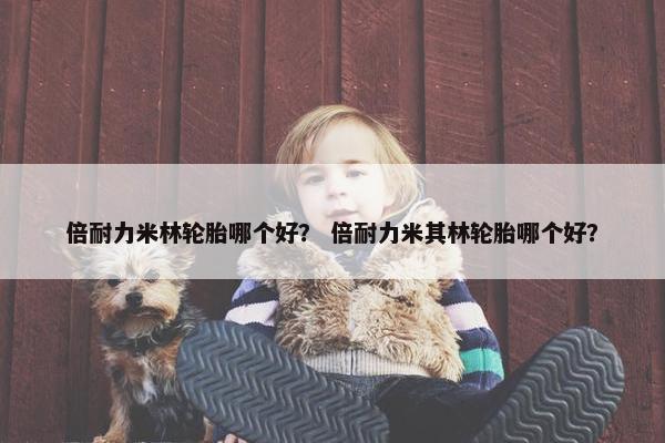 倍耐力米林轮胎哪个好？ 倍耐力米其林轮胎哪个好？