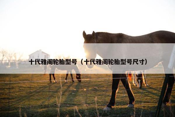 十代雅阁轮胎型号（十代雅阁轮胎型号尺寸）