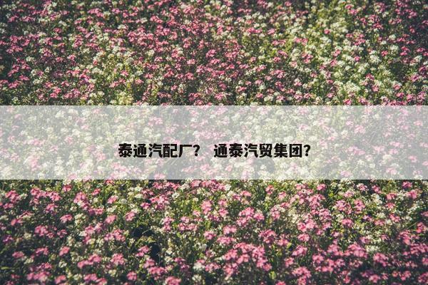 泰通汽配厂？ 通泰汽贸集团？