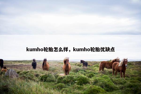 kumho轮胎怎么样，kumho轮胎优缺点