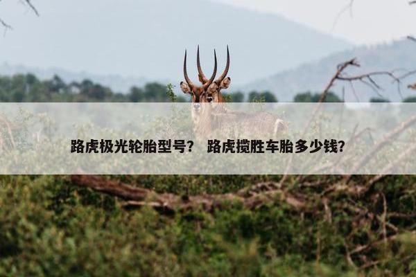 路虎极光轮胎型号？ 路虎揽胜车胎多少钱？