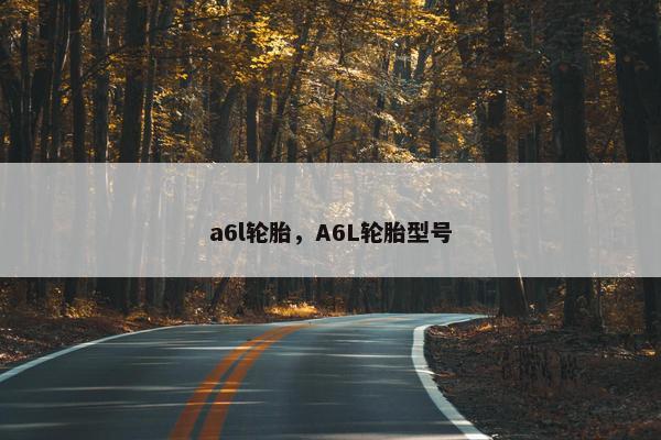 a6l轮胎，A6L轮胎型号