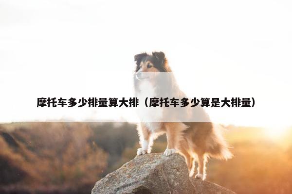 摩托车多少排量算大排（摩托车多少算是大排量）