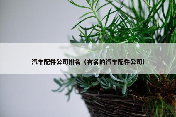 汽车配件公司排名（有名的汽车配件公司）