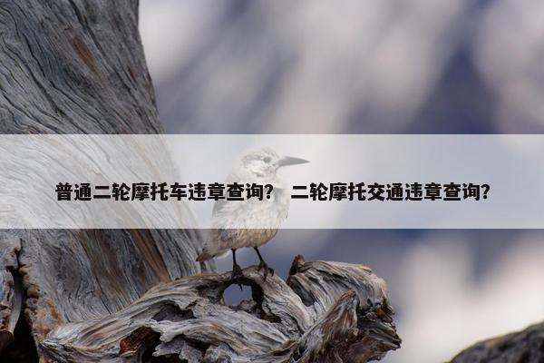 普通二轮摩托车违章查询？ 二轮摩托交通违章查询？