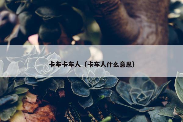 卡车卡车人（卡车人什么意思）