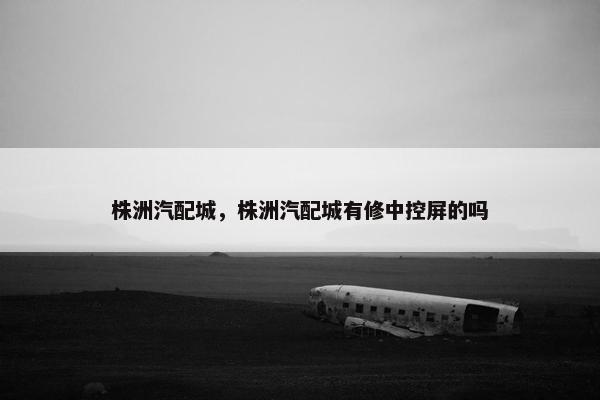 株洲汽配城，株洲汽配城有修中控屏的吗