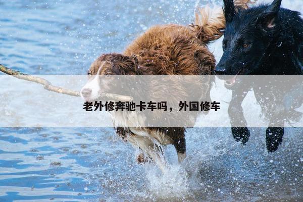 老外修奔驰卡车吗，外国修车