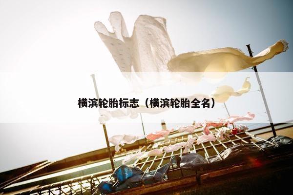 横滨轮胎标志（横滨轮胎全名）