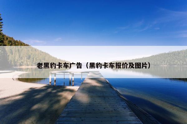 老黑豹卡车广告（黑豹卡车报价及图片）