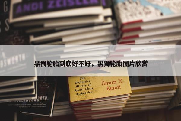 黑狮轮胎到底好不好，黑狮轮胎图片欣赏