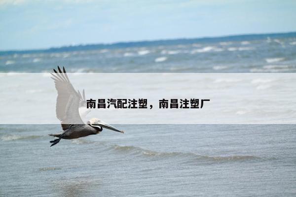 南昌汽配注塑，南昌注塑厂