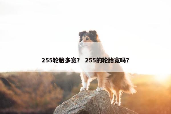 255轮胎多宽？ 255的轮胎宽吗？