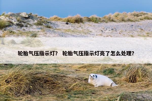 轮胎气压指示灯？ 轮胎气压指示灯亮了怎么处理？